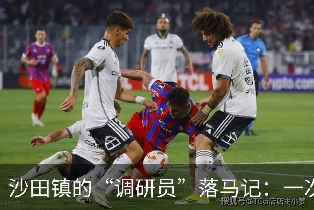 沙田镇的“调研员”落马记：一次出乎意料的变故